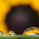 Image for article titled Shooting Challenge Freelensing Gallery 2